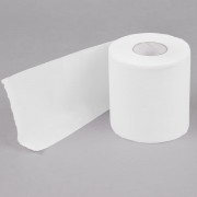 Biodegradable Paper